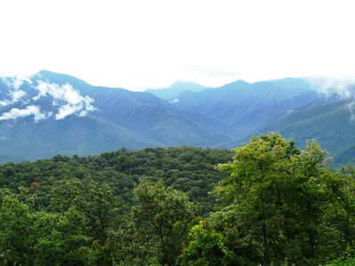 伟大大雾山