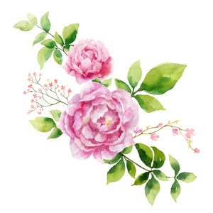 手绘牡丹花图片