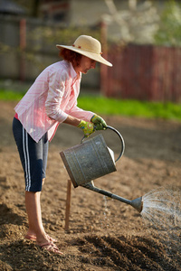 在帽子浇灌的妇女园丁新鲜地种植了庭院与蔬菜, 全长
