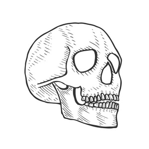敢死队骷髅头图片