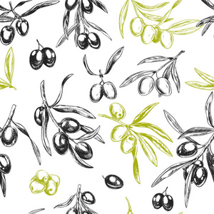 橄榄枝, 手绘复古风格矢量插图