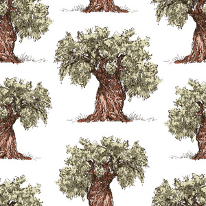 绘制的橄榄树图案