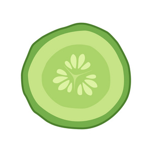 和发芽到成年植株的生长阶段黄瓜种子分离黄瓜矢量插画集长英语切片