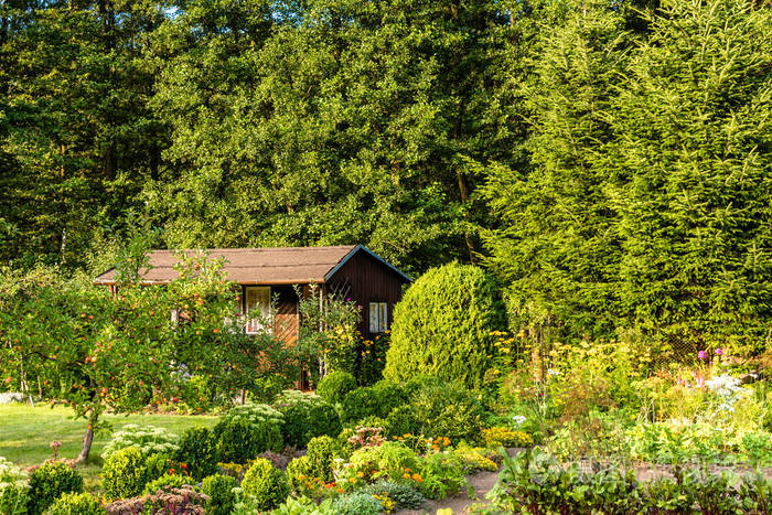 夏天房子在绿色庭院在森林乡村风光小屋