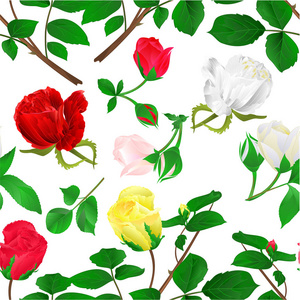 无缝纹理花蕾红黄白茎, 叶子和花朵在白色背景复古矢量插图可编辑手绘手画