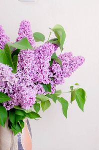 美丽的春天花朵的丁香花在一个白色的墙上的花瓶, 家庭装饰在一个质朴的 styl