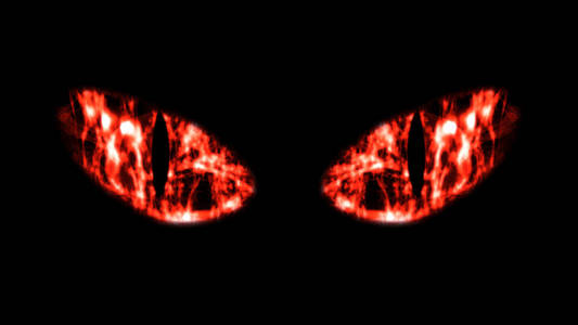 特写黑猫眼照片