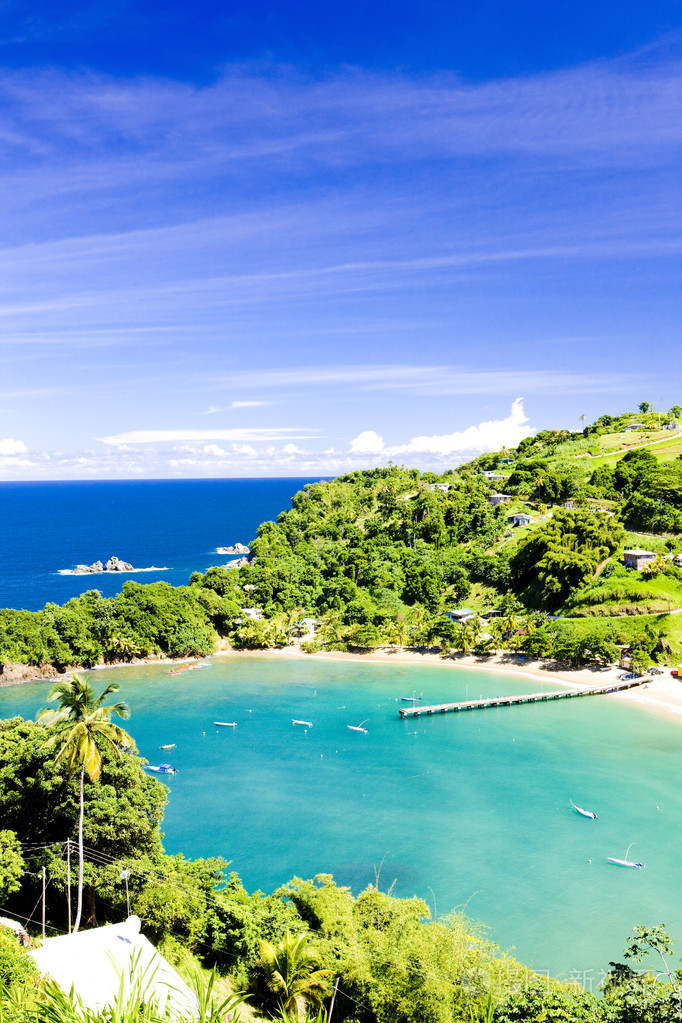 帕拉图维尔湾多巴哥