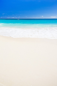 麦克斯韦海滩，巴巴多斯，加勒比