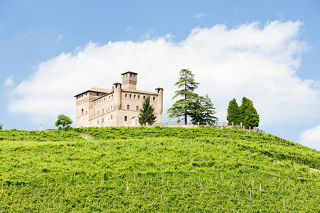 grinzane 与葡萄园 皮埃蒙特 意大利加富尔城堡