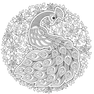孔雀.成人的抗应激彩页.黑色和白色的手画的涂鸦为着色书照片