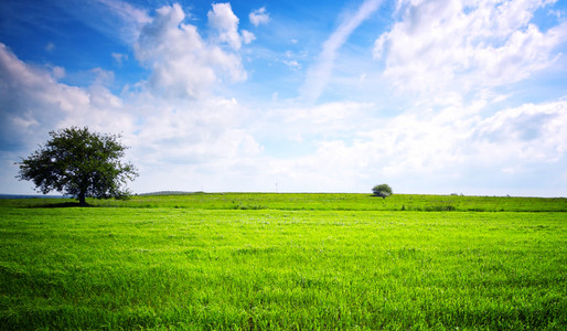 生态绿色景观照片