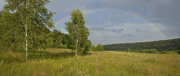 带彩虹的夏日森林全景