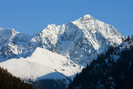 塔特拉 高塔特拉山区 斯洛伐克