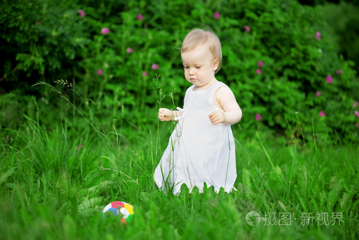绿色的草坪上的小漂亮女孩