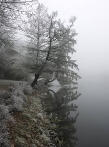 Woerlitz德国欧洲霜公园的冷冬景观