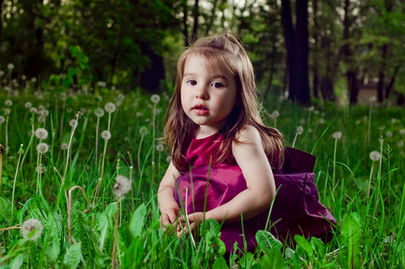 漂亮的小女孩与蒲公英的草坪上图片