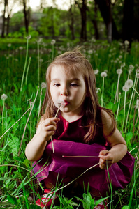漂亮的小女孩与蒲公英的草坪上