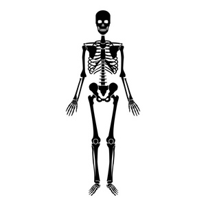 人体骨架图标黑色矢量插画平面样式简单图像照片
