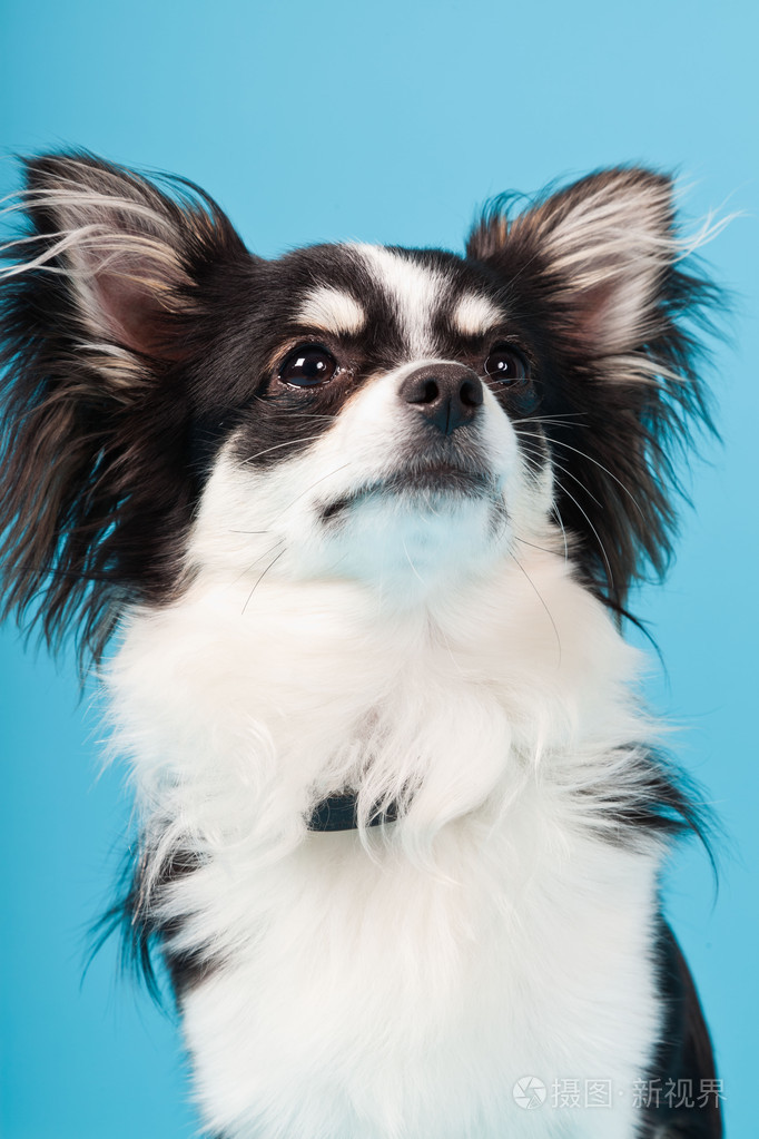 长头发.工作室肖像