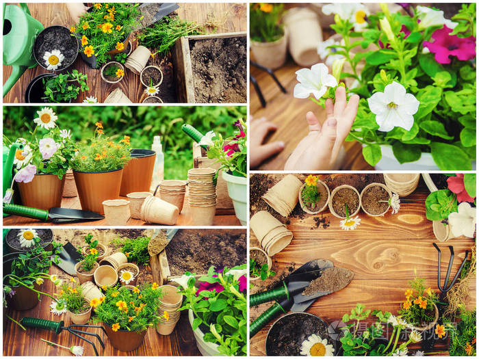 一个小女孩正在种花年轻的园丁选择性聚焦