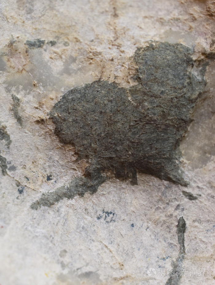 心在石头的形状