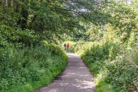 一个母亲和她的两个孩子走过一条绿叶的小路, 英国