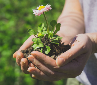女子手托花图片