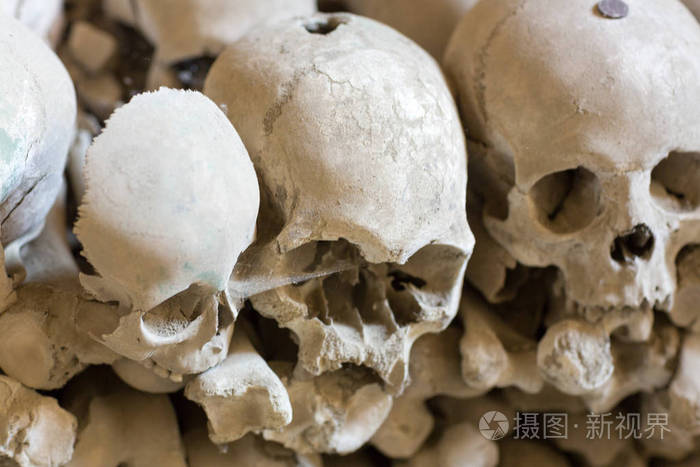 古骨的头骨和骨骼, 那不勒斯