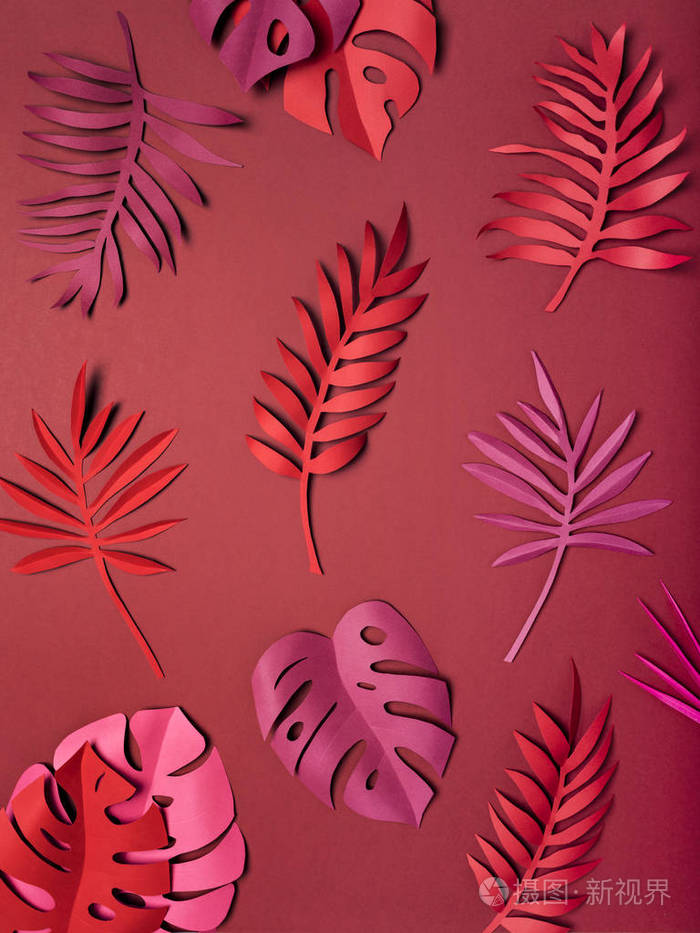 明亮的热带纸叶子