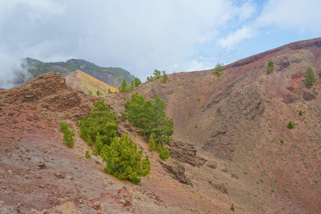 西班牙 La 帕尔马岛 Gr131 Ruta Volcanes 徒步旅行小径的景观