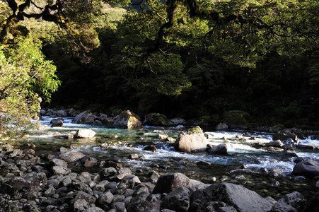 新西兰峡湾