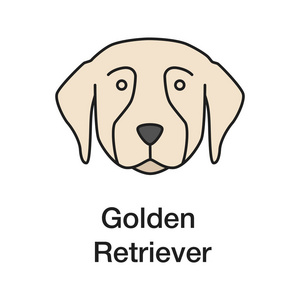 金色猎犬颜色图标。引导犬品种。孤立向量插图