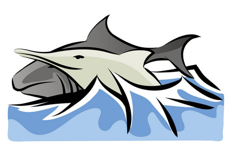 生活海豚鲨鱼和海豚.鲨鱼和海豚一起游泳.海洋生活与鱼照片