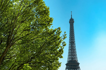 巴黎与埃菲尔铁塔在春天的早晨时间