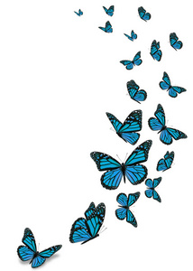 孤立在白色背景上的美丽蓝色帝王蝶