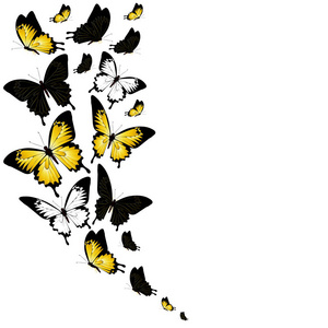 邮政卡与收集黑色和黄色飞蝶孤立在白色背景, 矢量, 插图