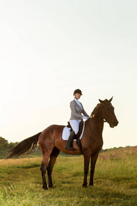 马术运动。骑上马的年轻女子马术高级测试