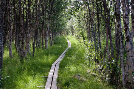 kungsleden 小径用木板