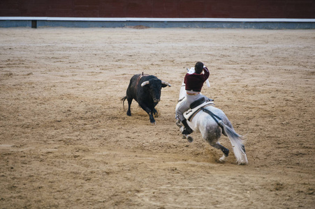 斗牛.斗牛士和马战斗在典型的西班牙斗牛