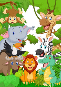 收集动物 safari 在丛林中