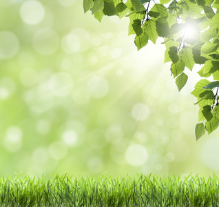 晒草药图片-晒草药素材-晒草药插画-摄图新视界