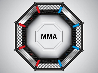 混合武术八角笼, 顶部视图照片