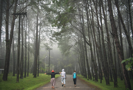 人营探险森林旅行放松概念