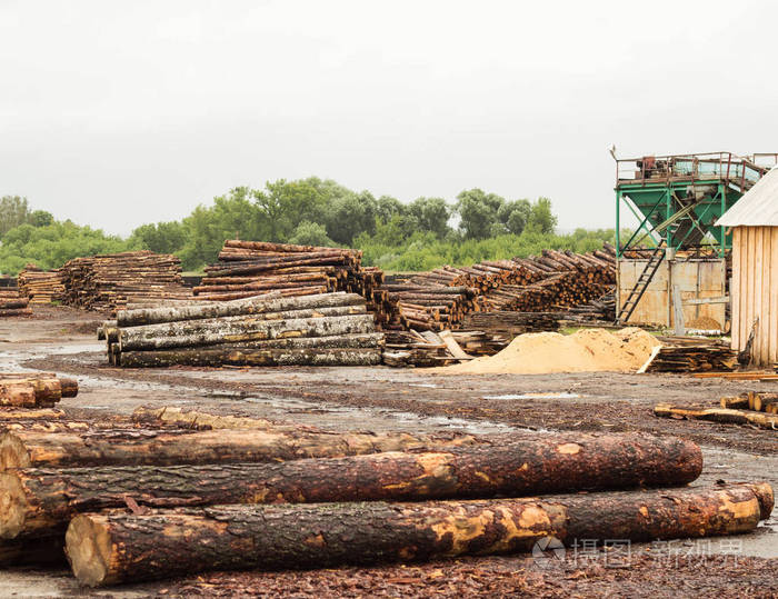 一大堆木材原木在木工工厂, 锯木厂, 木材