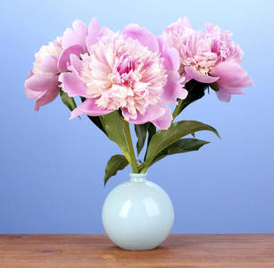 蓝色背景上的木桌上花瓶里的三个粉色牡丹