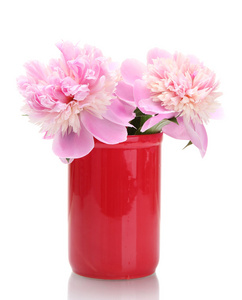 粉色牡丹花卉在花瓶上白色隔离