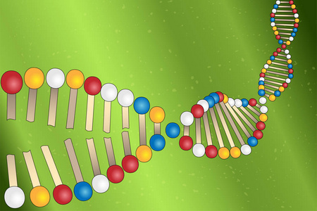 在绿色背景上展开 Dna 分子, 矢量图解