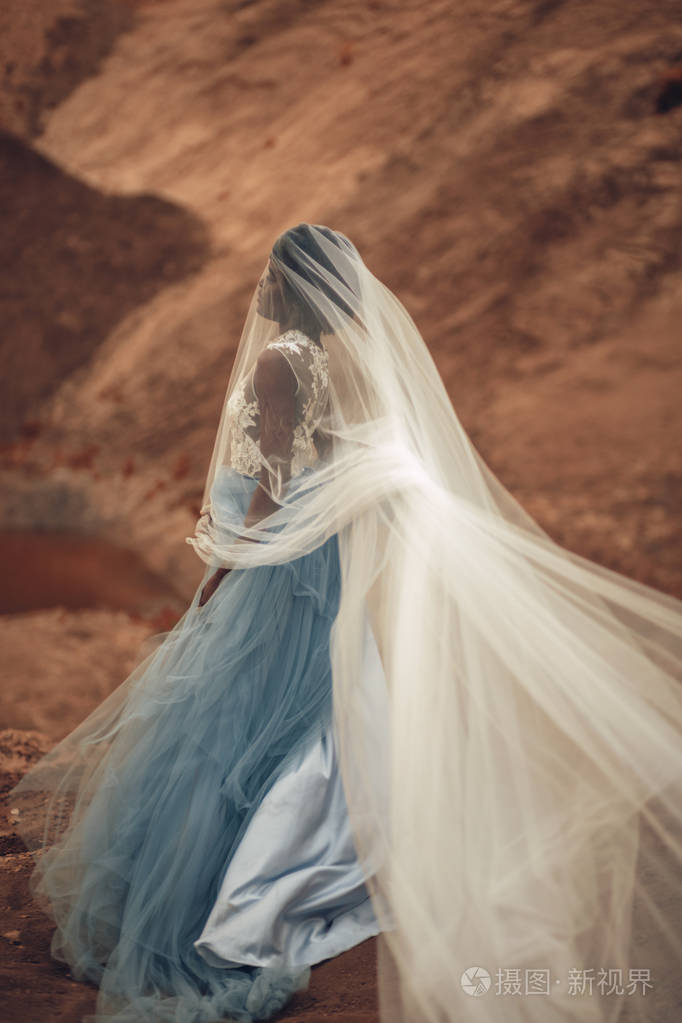 黑色快乐新娘在长婚纱礼服和新娘面纱站立在秀丽风景的背景侧面视图