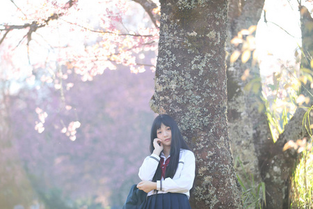 日本学校女孩礼服寻找樱花自然走道